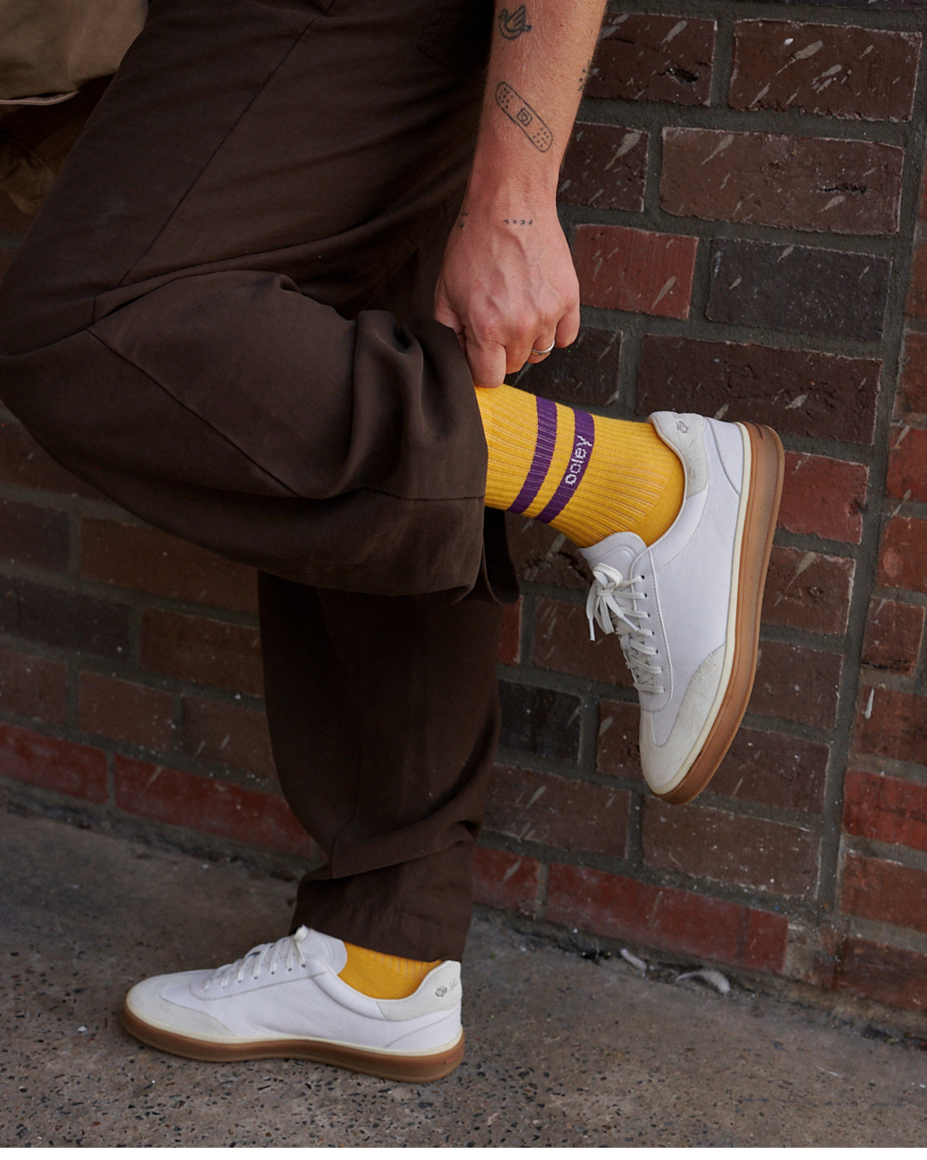 Sporty Melange - Cheese